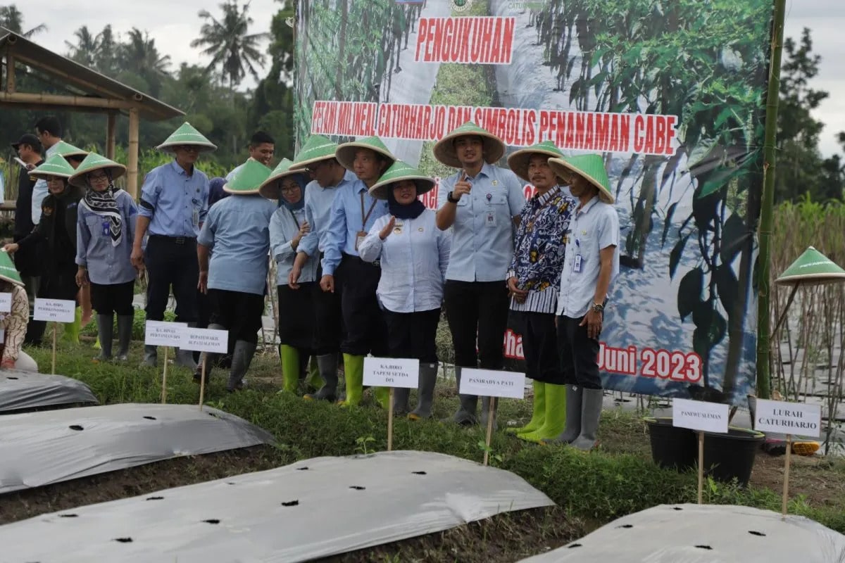 SANDANG PREDIKAT SEBAGAI LUMBUNG PANGAN DIY PEMKAB SLEMAN KONSEN KEMBANGKAN PERTANIAN SEHAT
